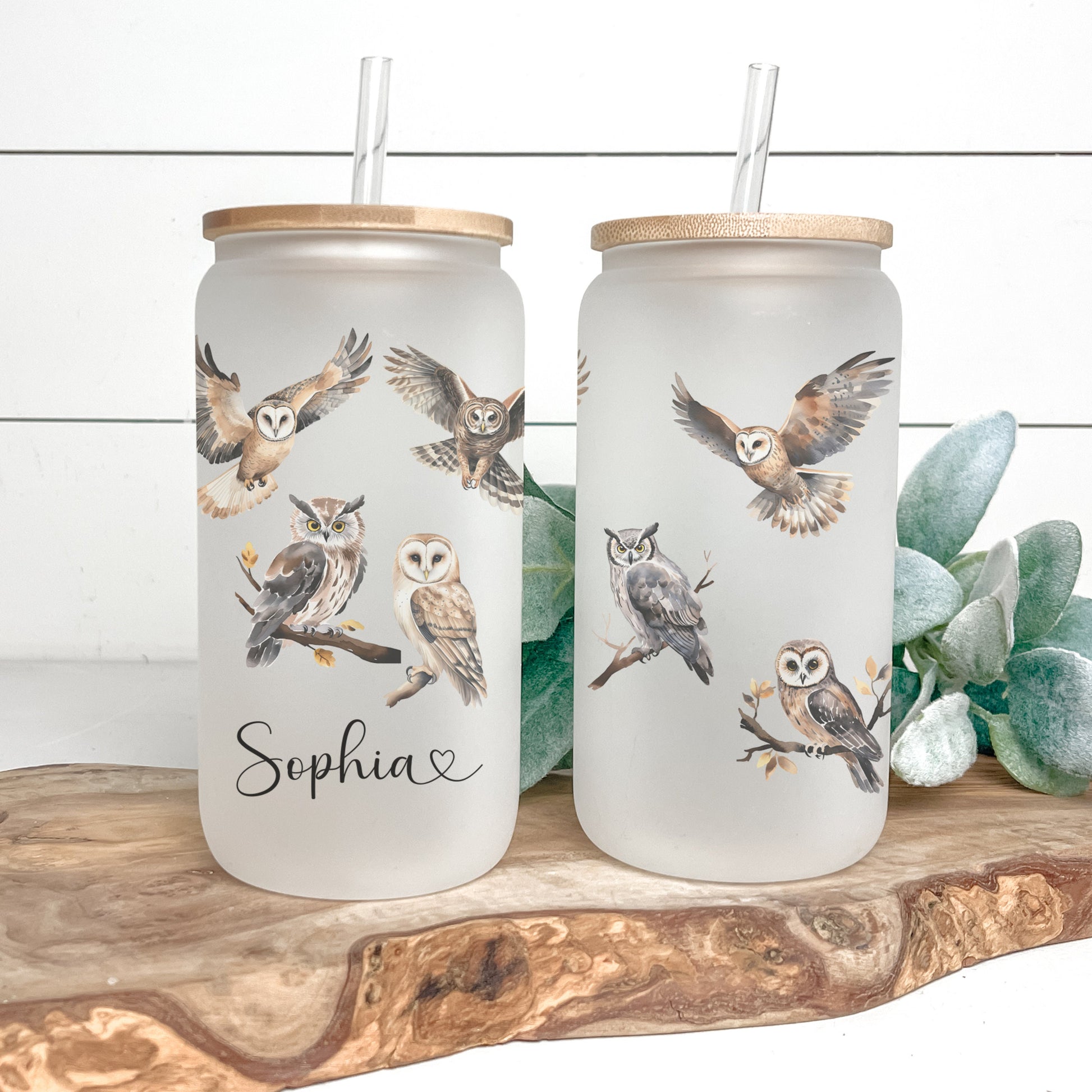 Custom Owl Frosted Glass Cup