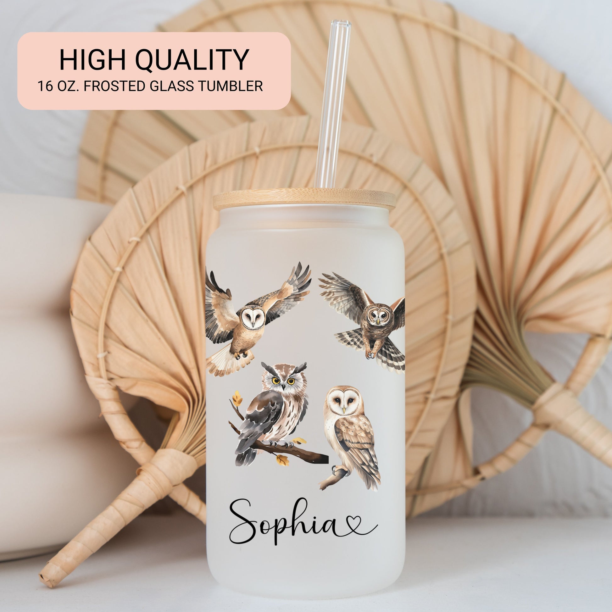 Owl Lovers Gift Idea Glass Cup