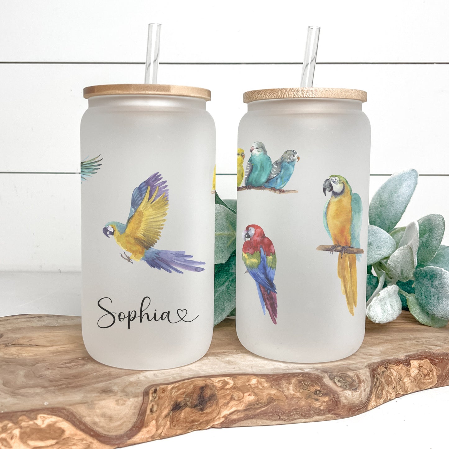 Personalized Parrot Glass Tumbler - Custom Frosted Cup for Coffee Lovers